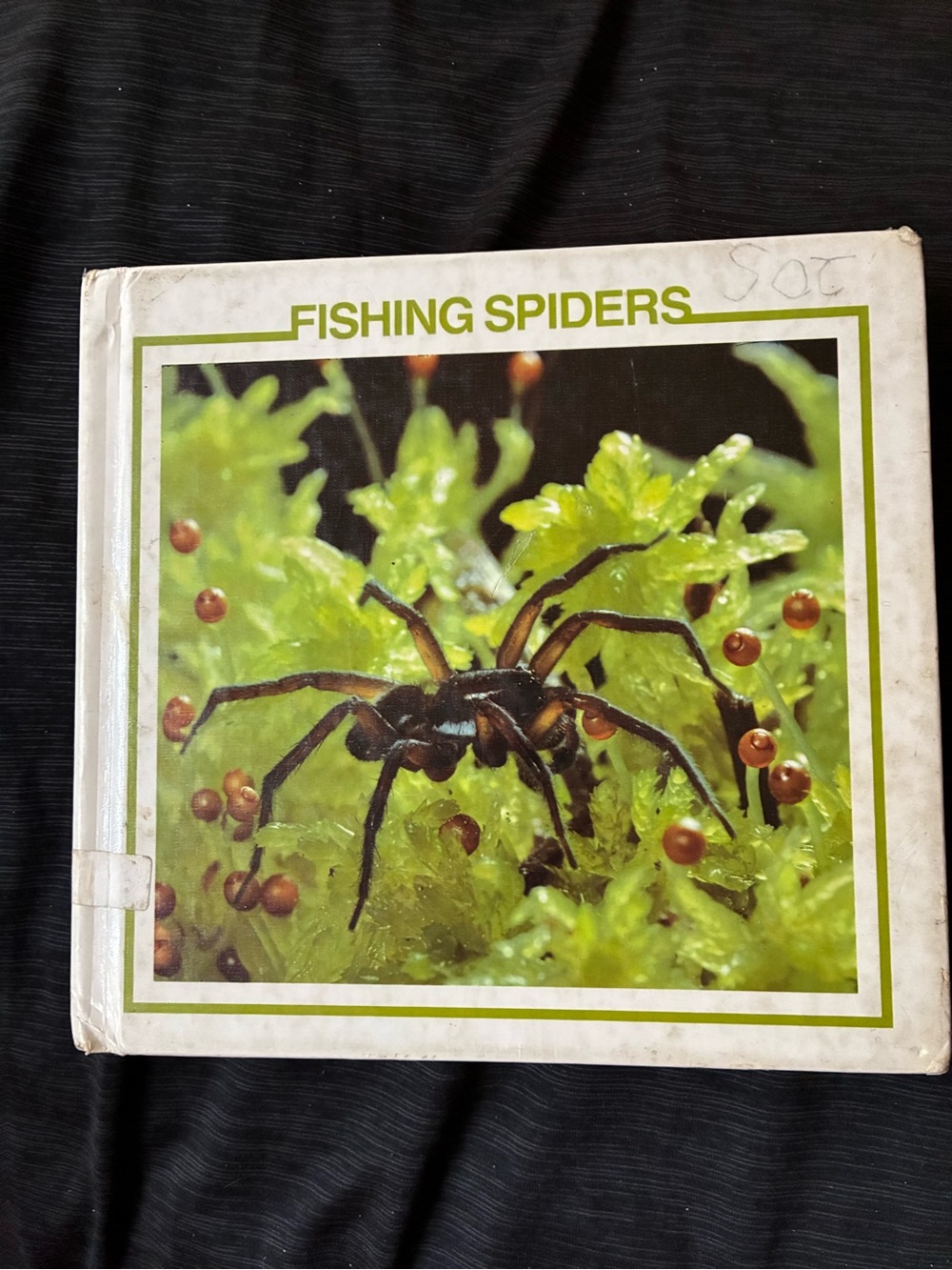 Fishing Spiders Hardcover Book - Green Cover Image
